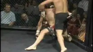 Base Basvic Highlights