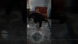 Bboy Gili Fractal Break