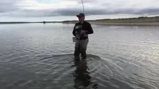 RD Cape Poge Bay