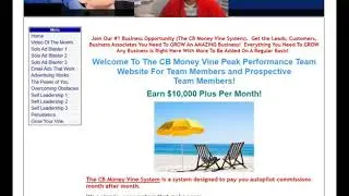 Make Great Money With The CB Money Vine System