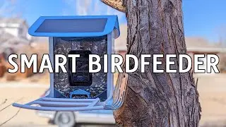 BIRD FEEDER: Smart Bird Feeder Review w/Camera | Motion Detector | Record Birds Feeding | Birdfeeder