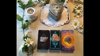 'Can You Still Trust Them?' Tarot Reading (Tarot+Oracle+Charms)