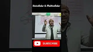 Unicellular vs Multicellular | Class 9&ndash;10 Biology | One Cell vs Many Cells