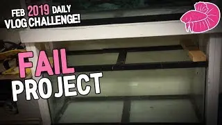 My FAILED Tank Stand Project I Never Shared - February Daily Vlog Challenge #26
