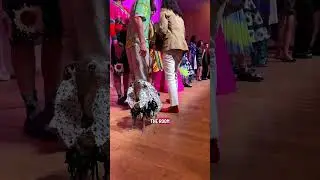 Dog The Oldest Model at Fashion Week!