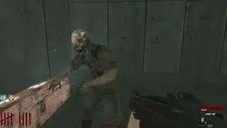 WAW UTOPIA ZOMBIES: This ‘Perfect’ Map Turns Into a NIGHTMARE