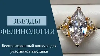 ЗВЕЗДЫ ФЕЛИНОЛОГИИ - конкурс выставки кошек PCA on-line