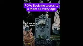 CAT MEMES 🐱 POV: Evolving words to a Mom at every age #animalcat #cats #catmemes #cat #funnycats