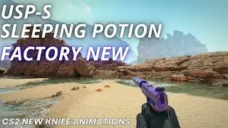 USP-S Sleeping Potion | CS2 Skin Showcase