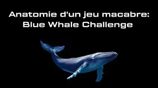 Anatomie d'un jeu macabre (Blue whale challenge)