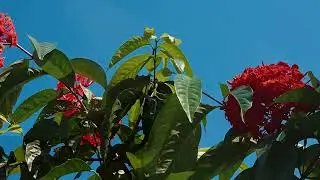 Cinematic video ft. Samsung Galaxy S24 Ultra || @Samsung @SamsungIndia 