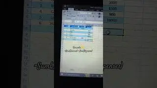 Automatic Income & Expense Balance Sheet in One Formula#Excel #ExcelTips #ExcelTutorial #ExcelTricks