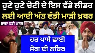 Moose Wala New Song  News18 Punjab Live  Amritpal Singh Latest Update LIVE Punjab News LIVE NEWS