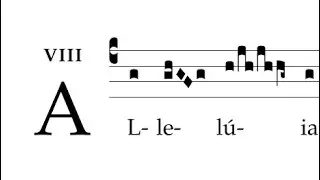Alleluia: Felix es, sacra Virgo Maria