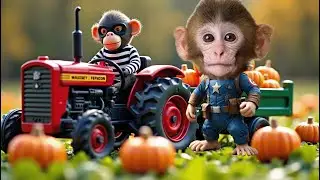 🐵 Monkey TinTin Epic Showdown: Will He Save the Pumpkin Garden or Lose to the Villain?🚜and duckling.