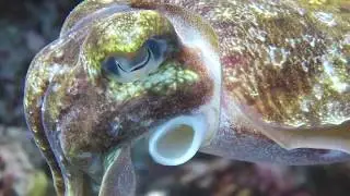 Mergui Archipelago - Myanmar's hidden paradise