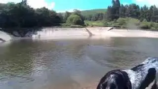 Sprockers having a splash