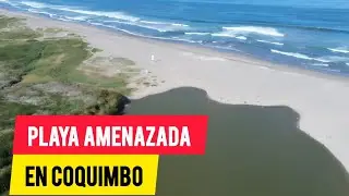 CAMINÉ hasta el Humedal del Rio Elqui /  DRONE 4K