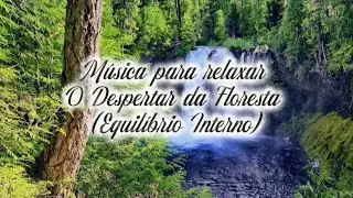 Música para relaxar, O Despertar da Floresta (Equilíbrio Interno) @CalmWavesBR 