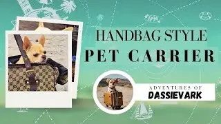 S1 E2 - Handbag Style Pet Carrier - Day outing bag #pet #pettravel #carrier #chihuahuafanatics #dog