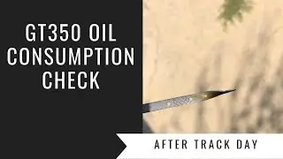 GT350 Oil Consumption: after track day