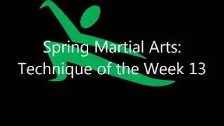 Technique of the Week - Week 13