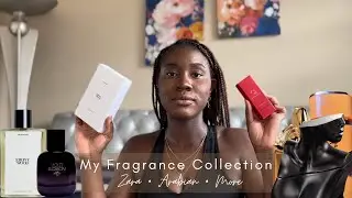 Starting Over: Rebuilding My Fragrance Collection with New Designer & Affordable Perfumes