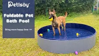 PetIsay Foldable Dog Swimming Pool l Amazon UK