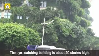 Green building? High-rise covered with plants is seen in south China