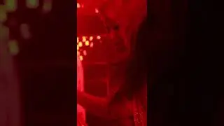 LOVEZOO 4th October 2025
