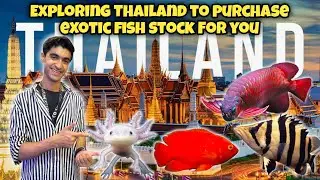 Thailand Aquarium Tour 🇹🇭 | Finding the Rarest Exotic Fish for My Shop! | fishlet Pakistan 🇵🇰 