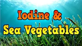 Iodine & Sea Vegetables