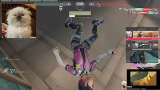 guardian main