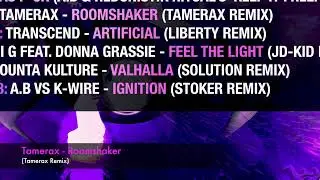 Tamerax - Roomshaker (Tamerax Remix)