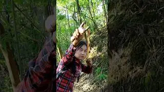Good hunter ep162