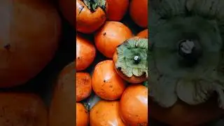 6 Powerful Benefits of Persimmon