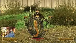 Играем со Stripe | Fallout: New Vegas