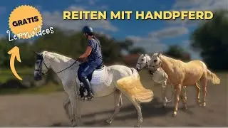 Reiten mit Handpferd 🐴 Gratis Lernvideo #pferdetraining #horsemanship #pferde #pferdeliebe