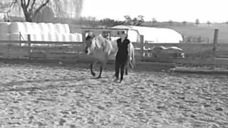 Gala mars 2012_0002.wmv