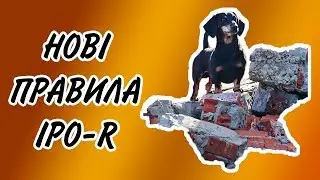 Проект нових правил IPO-R. Перший погляд - ЦМСС-2