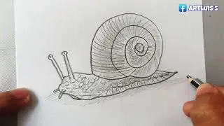 How to Draw a Snail