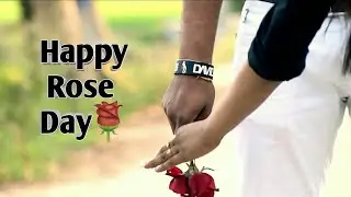 Happy Rose Day WhatsApp Status Video || Rose Day WhatsApp Status Video || Cute Shinu ||