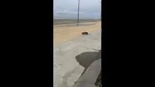 HPI savage езда на двух колесах riding on two wheels