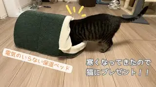 【話題の「電気のいらない保温ベッド」買いました】猫が寒そうなので買ってみた