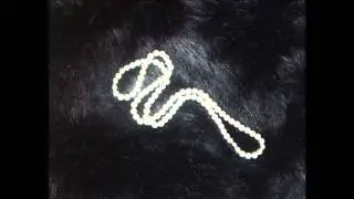 Biserna polka