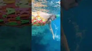 The perfect program for a swimming holiday near you