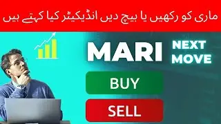 Mari petroleum share price today | Mari petroleum share price forecast