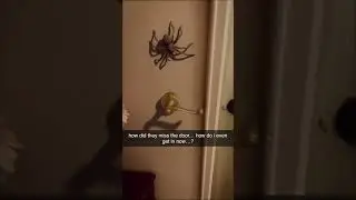 They Installed My Door Knob In The Wrong Place 🤯...