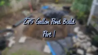 DIY Backyard Pond Build: Bass, Gar & Crayfish!