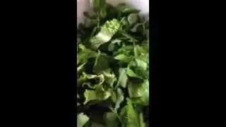 Arugula flower salad